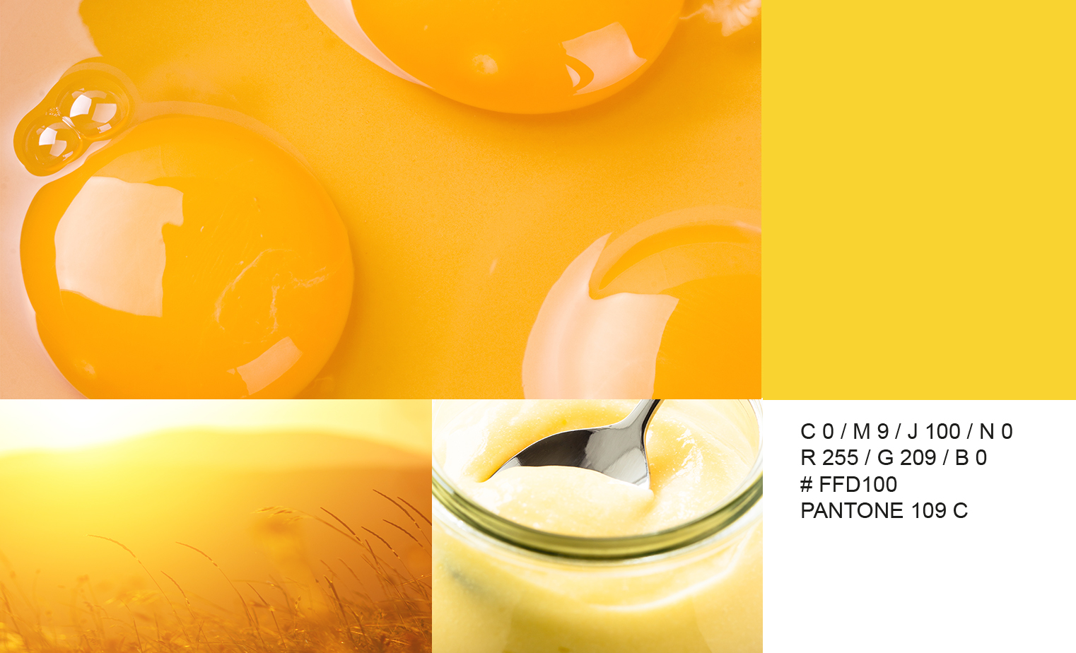 1-COLOR PALETTE-LAITIERE-JAUNE